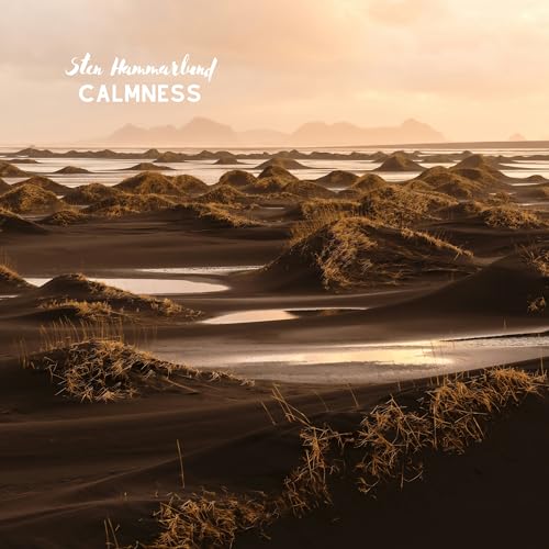  Calmness