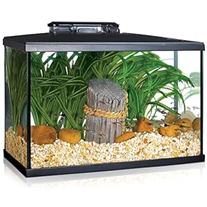 Marina 5 Gallon (19 L) LED Aquarium Kit – Ideal for Beginner Aquarists and New Fish-Keepers