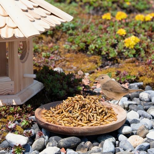 Lyra Pet® 10 kg Soldatenfliegenlarven getrocknet - Hermetia Illucens