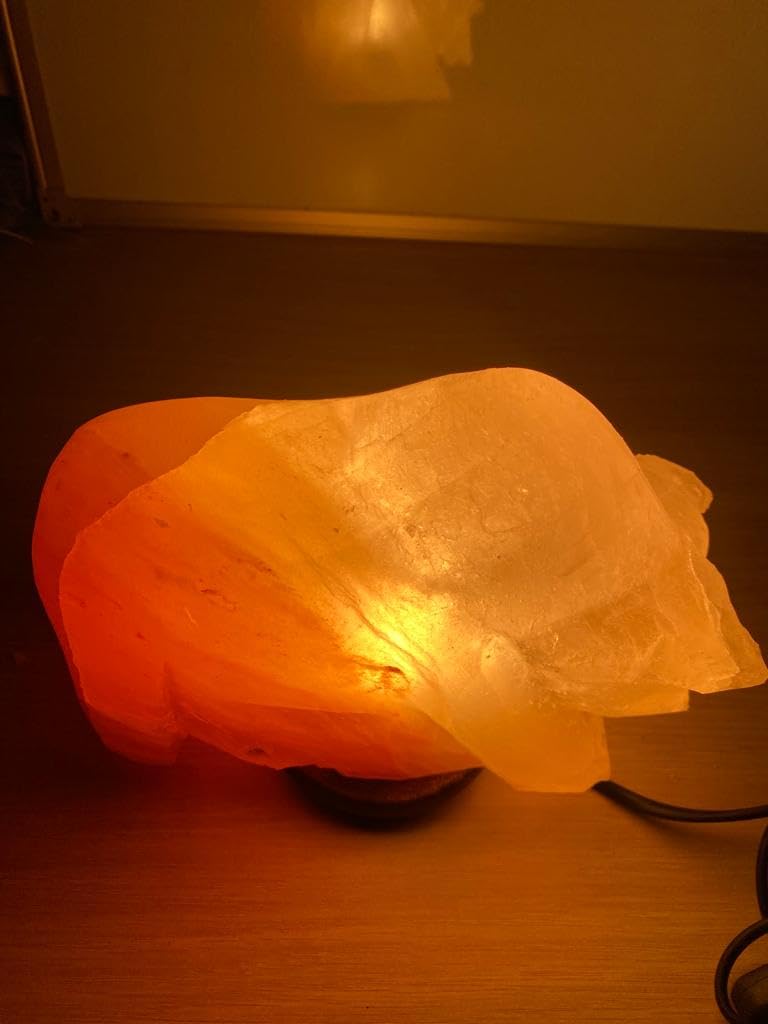 Elkoza Bull Salt Lamps Handmade Wood Silhouette Natural Healing IONES Therapeutic 100% Pure Himalayan Pink Crystal Salt Lamp Fine Quality (Bull Salt Lamp Himalayan)