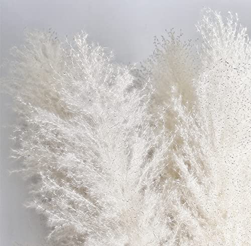 Image of 46 inch inch 10 Stems Cream Pampas Grass Decor Tall, Dry Flowers for Floor Vases Decor, Natural Dried Flowers for Wedding, Natural Home Decor, Wall Grass, Glam Decor