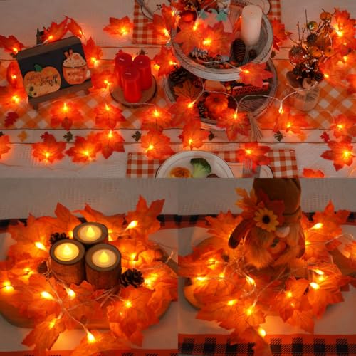 Yeguo 2 Pcs Fall Decorations For Home, Thanksgiving Lights Battery Operated thumb #3
