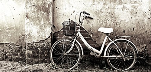 Preisvergleich Produktbild Fototapete Effeline Dreamy Fahrrad Mis. 210 x 100 cm 1 Tuch