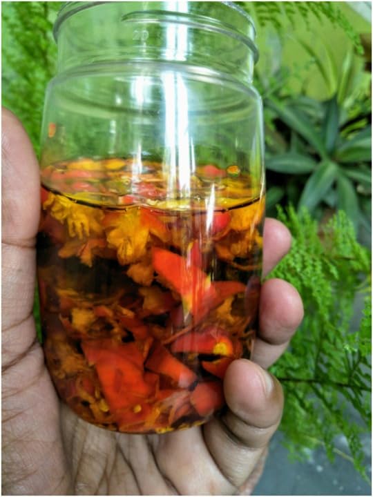 See full amazon price history chart for Homemade Organic Hot Red Green Ghost Pepper Pickles, Bhoot Jolokia Pepper Pickles, Chilli Pepper Pickles, Pickled Hot Peppers,40 gm (Homemade King chilli with Mustard Oil) Homemade Organic Hot Red Green Ghost Pepper Pickles, Bhoot Jolokia Pepper Pickles, Chilli Pepper Pickles, Pickled Hot Peppers,40 gm (Homemade King chilli with Mustard Oil) (B0DHDF2QP4) Amazon Price History, Amazon Price Tracker