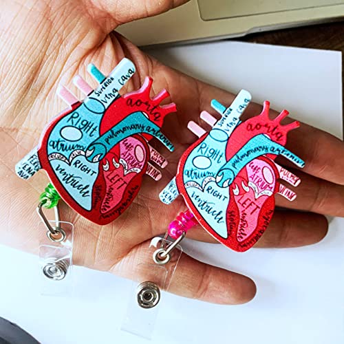 vsilay Badge Reels Retractable ID Clip Holder Anatomical Heart Nurse Anatomy Nursing Doctor Medical Name Tags Card Badge - Image 2