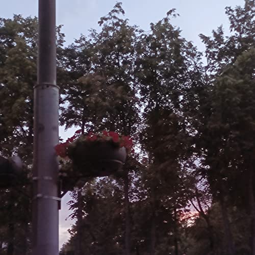 Homesick de chocolate cigarettes sur Amazon Music Unlimited