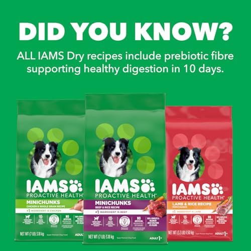 IAMS Proactive Health Minichunks Dry Dog Food – Crunchy Kibble for Adult Dogs – Chicken & Whole Grain Recipe – 1.50KG (3.3LB) Bag — view 7