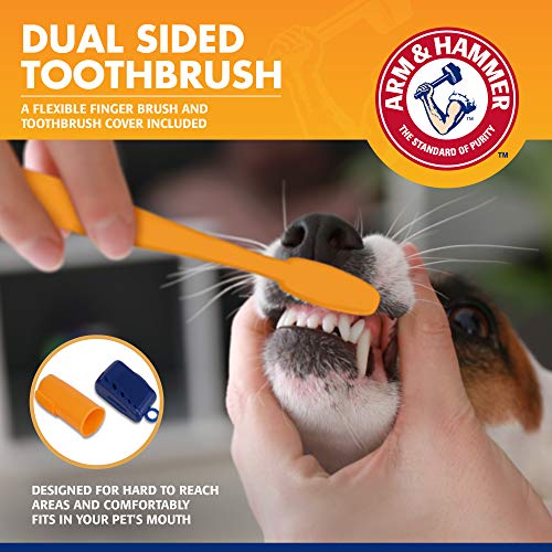 Image of Arm & Hammer for Pets Tartar Control Dog Dental Care Kit Banana Mint Flavor Toothpaste Double-Sided Toothbrush Finger Brush 2.5 OZ 3-Piece 48 Pack
