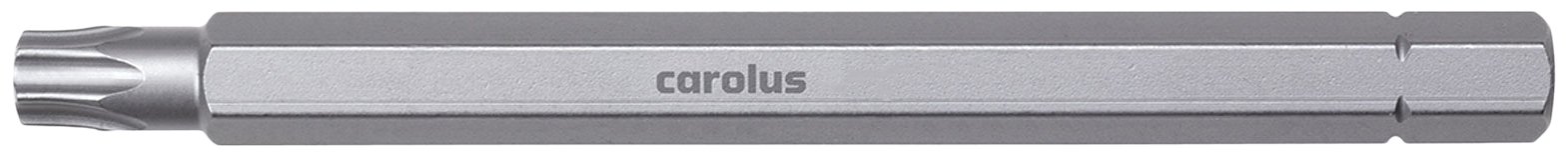 Carolus Insert 5/16 "Torx T55 6098.55, T20