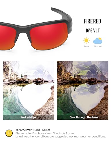 Image of BLAZERBUCK Polycarbonate Replacement Lenses for BOSE Tempo Sunglasses