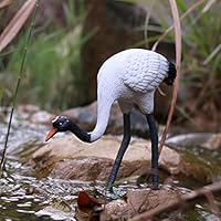 Amazon.co.jp: LxRx9 ガーデンオーナメント 鶴 2羽セット 池 置物