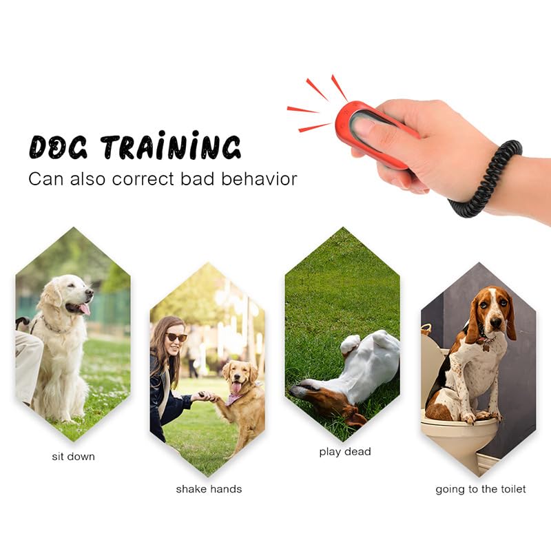 Clicker pour chien, 5, durable, portable, outil d'entraînement interactif avec bout des doigts, clicker d'entraînement avec extension, convient également pour les chats et les chevaux