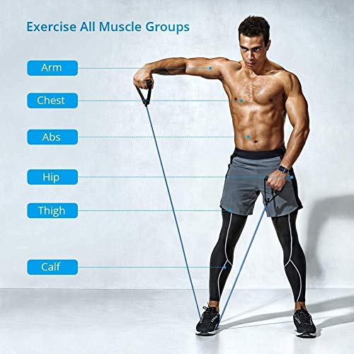 Image of Anva Resistance Exercise Bands with Door Anchor, Handles, Waterproof Carry Bag, Legs Ankle Straps for Resistance Training, Physical Therapy, Home Workouts, Resistance Band