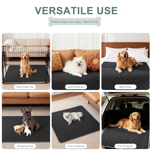 Image of Eterish Reusable Washable Pee Pads for Dogs Large /Extra Large 36'' x 41'' 2 Pack, Absorbent Pet Puppy Dog Training Pads Non-Slip, Waterproof Whelping Potty Pads for Dogs Leak-Proof