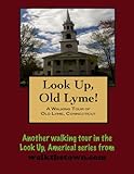 A Walking Tour of Old Lyme, Connecticut (Look Up, America! Series)