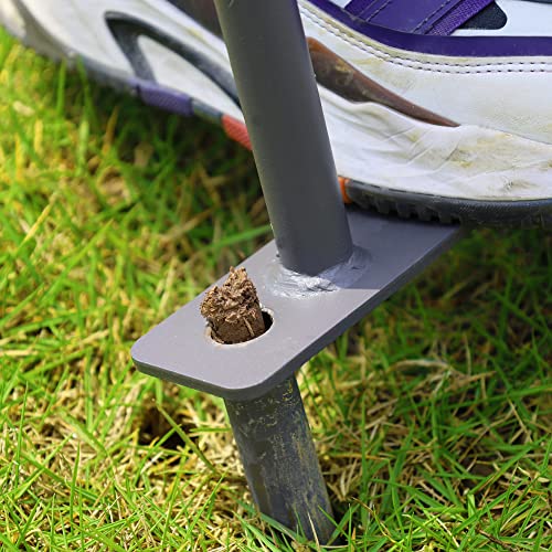 Hqslc Manual Lawn Coring Aerator,Grass Dethatching Turf Plug Core Aeration Tool,Loosen Compacted Soil To Prevent Lawn Run-Off And Soil Compaction,Grass Aerators For Small Yards And Garden #TOP5