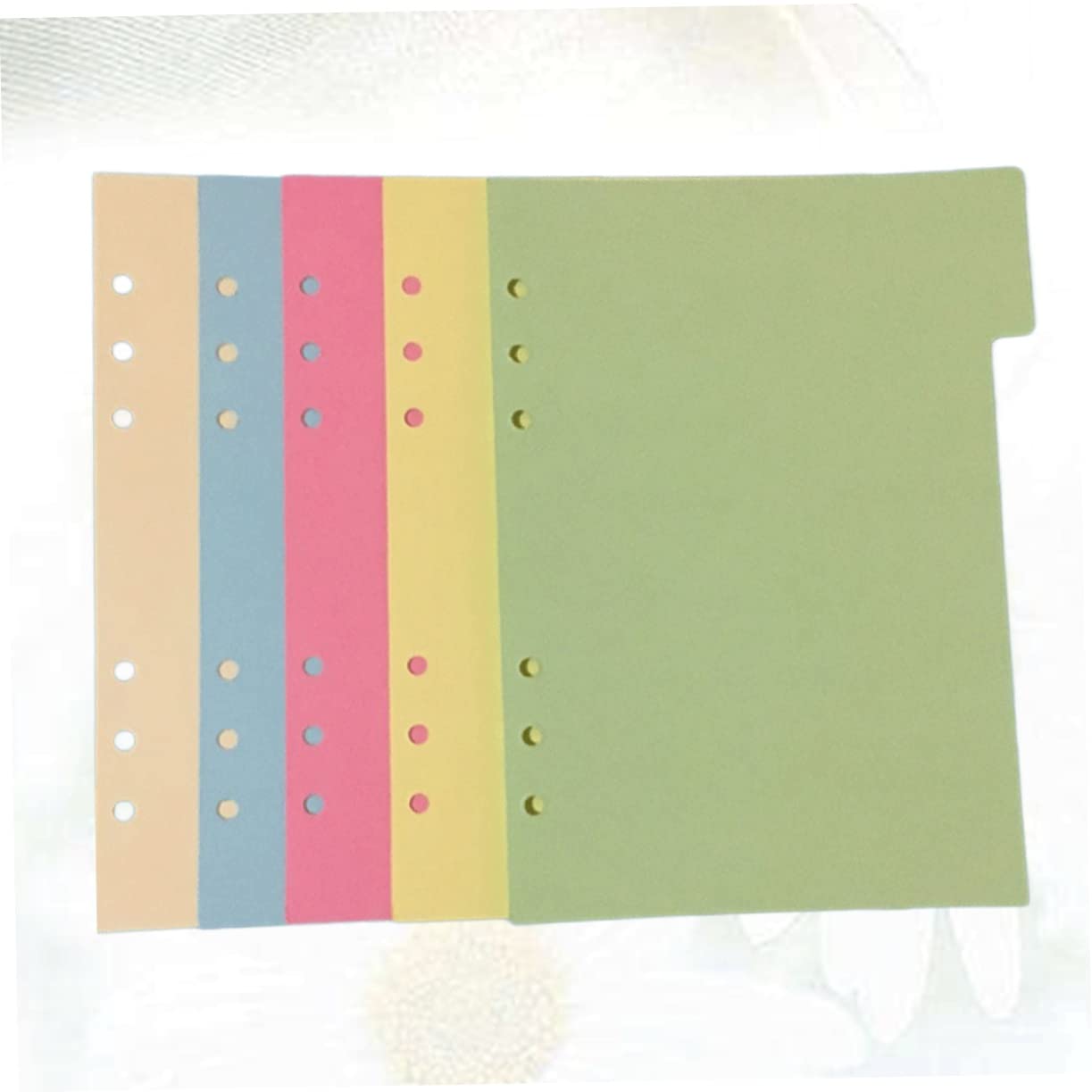For 3 Ring Binder Carstens Heavy Duty Plastic Hospice Divider Set, 8-Tab, Multi-Color... Month Tabs