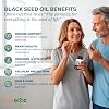 LIVEGOOD Black Seed Capsules, Cold Pressed Black Cumin Seed Supplement for Immune and Hormone Support, Blackseed Extract from Nigella Sativa (60 Count)