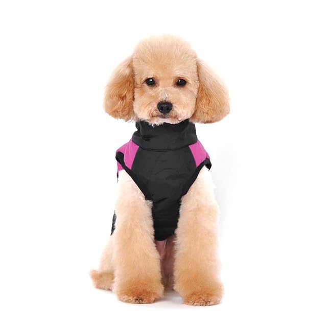 Foto 4 de 7 de Ectkuee Capa de la Chaqueta del Perro a Prueba de Agua