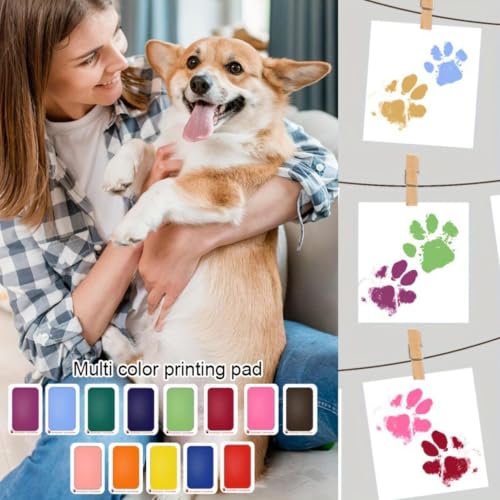 Marco con kit de huellas para decorar el hogar con mascotas 5