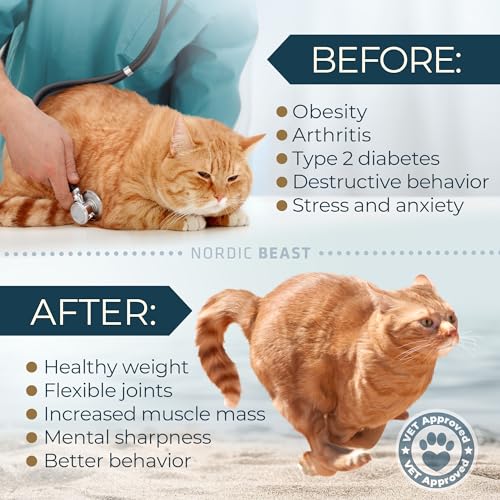 48'' XL Cat Wheel - Cat Wheels for Indoor Cats Which Doesn't Negatively Affect Your Cat's Spine - 15.7'' Extra Wide Cat Treadmill - Fits 2 Cats Side-by-Side, 1-Year Warranty