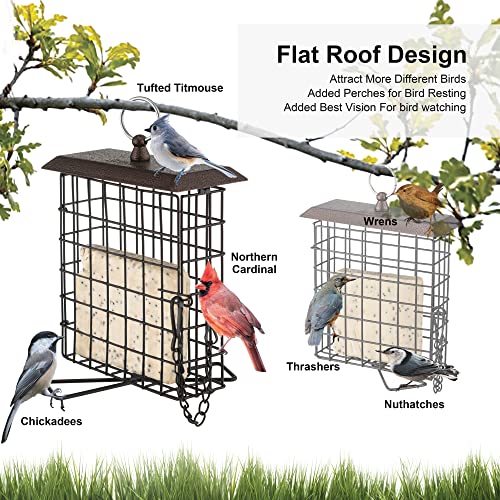 Iborn Suet Feeder Suet Bird Feeders For Outside Hanging,Squirrel Proof Suet Cakes Bird Feeder For Wild Birds(Suet Cage Pack Of 2) #TOP1