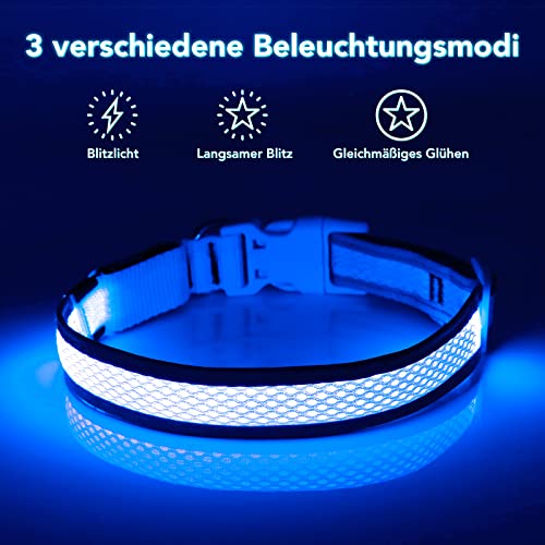 Leuchthalsband Hund(Halbleuchtend blau M), Colaseeme LED Hunde Leuchthalsband, Wasserdicht Hundehalsband Leuchtend, HundeleuchthalsbäNder Aufladbar für Pet Night Walking Safety, blau M
