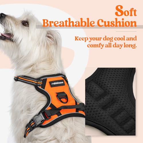 Image of rabbitgoo Dog Harness No Pull with 2 Leash Clips, Adjustable Soft Padded, Reflective Oxford No Choke Pet Vest with Easy Control Handle for Puppy, Orange,XS