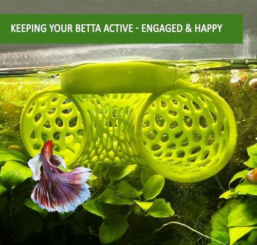 Image of Floating Betta Tunnel for Betta Training. Interactive Training & Enrichment Toy for Betta Fish - Stress Relief & Exercise Accessory, Floating Betta Fish Toys