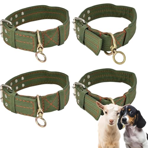4 Stück Verstellbares Dickes Hundehalsband, Tierhalsband, Schafhalsband, Hundehalsband Canvas Halsband, Verstellbares Schafhalsband, für Pferd, Rind, Hund, Kamel, Bitte überprüfen sie die größe(XL)