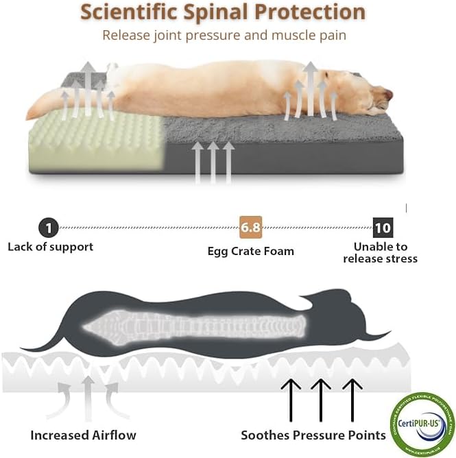 Miniatura 4 de Cama ortopédica para perros grandes y medianos. Cama ortopédica para perros con funda extraíble (35 pulgadas de largo x 22 pulgadas de ancho x 3