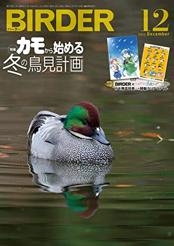 BIRDER (バーダー) 2022年 12月号 [雑誌]のサムネイル
