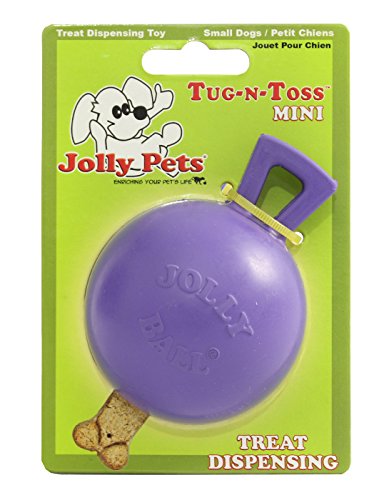 Jolly Pets Tug-n-Toss Heavy Duty Dog Toy Ball with Handle, 3 Inches/Mini, Purple (403 PR)