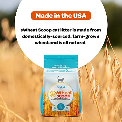 Swheat Scoop Wheat-Based Natural Cat Litter, Original Fast Clumping, 36 Pound Bag #TOP4