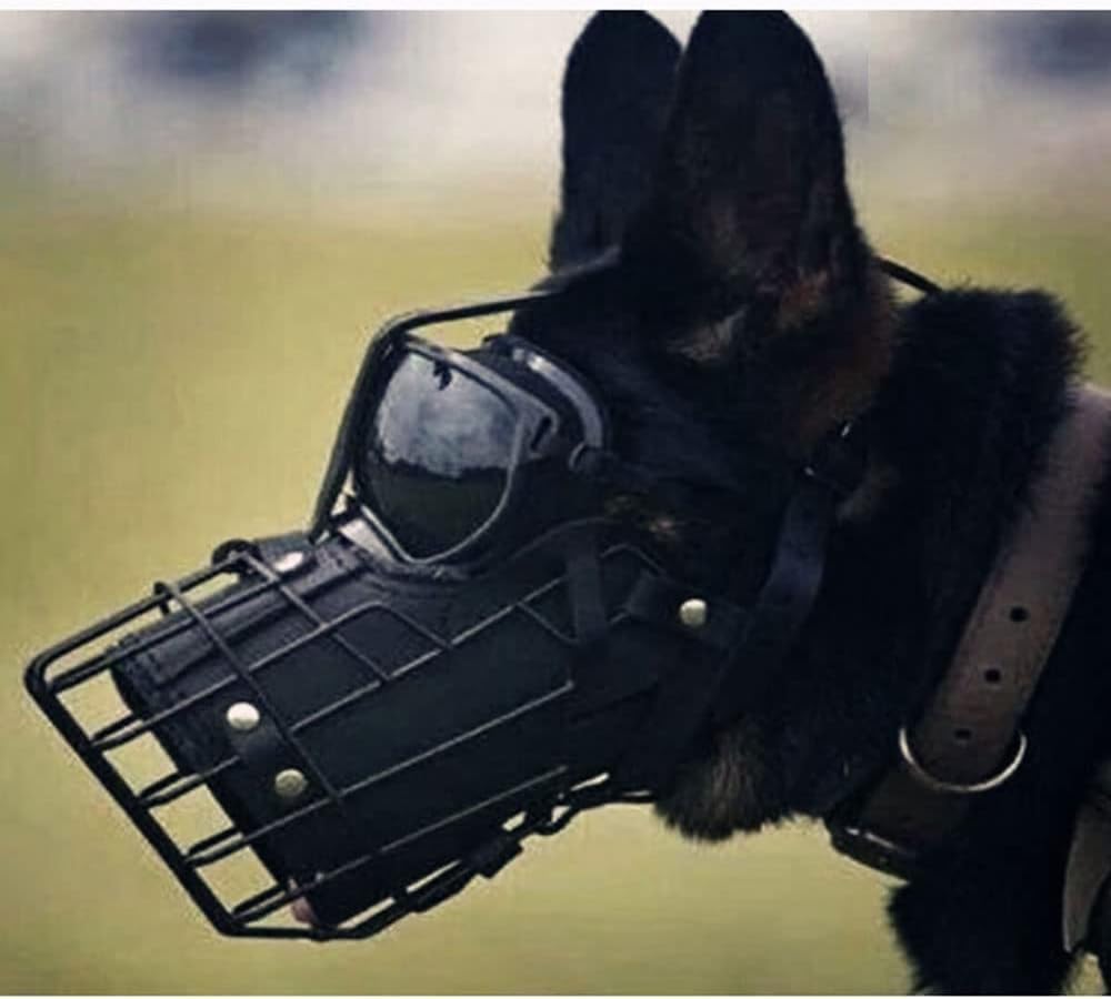 Bozal ajustable de metal y cuero para perros de razas medianas y grandes, ideal para entrenar pastores alemanes, dobermans, rottweilers y más