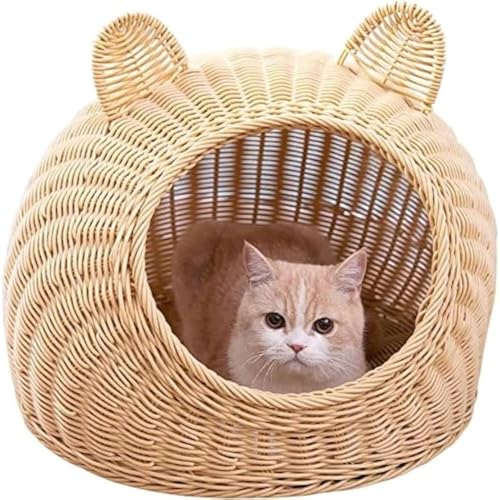 Zifizo LbgnEX h[^LnEX Lxbh  nEX   nEX xbh  ^ې ٔLlGjo[TْʋC (x[W,S)