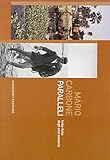  Mario Carbone. Paralleli India-Italia degli anni Sessanta