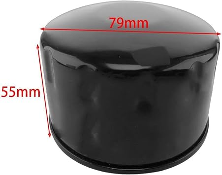 Motorbike Filter 2PCS Motorcycle Element Replacement Oil Filter For BMW K1600 GTL K48 2011 2012 2013 2014 2015 2016 2017 2018 2019