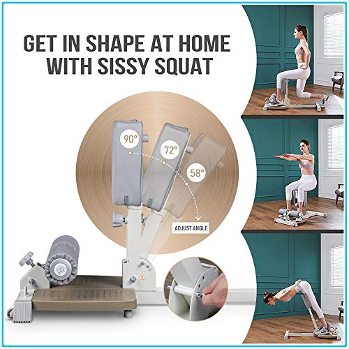 leikefitness Deluxe Multi-Function Deep Sissy Squat Bench Home Gym ...