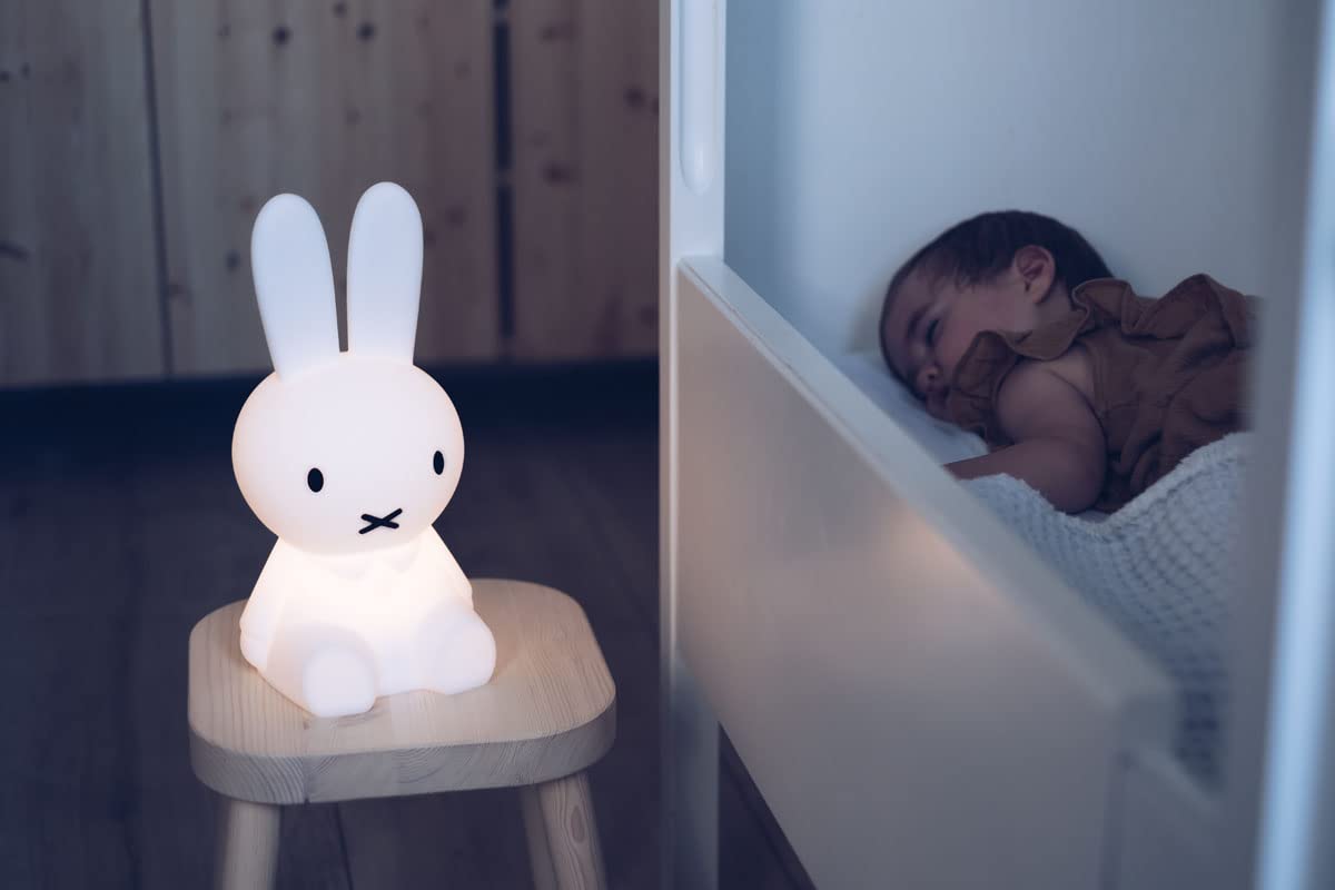 Miffy First Light - Bol.com LvB