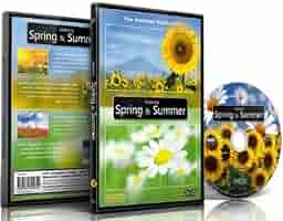 (未使用･未開封品)Relax &amp; Chill With Nature [DVD] Amazon.com: Relaxing Waterfall DVD - Fall Cascades