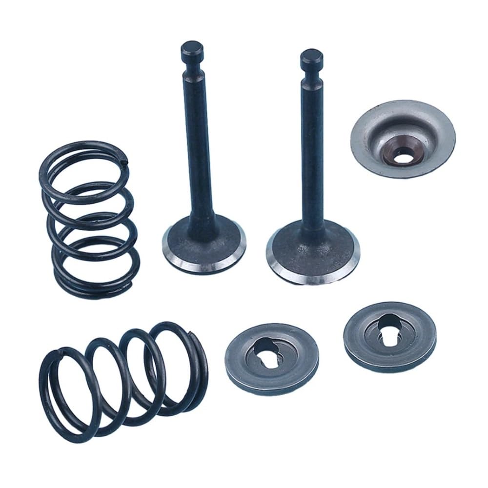 Ressorts pour débroussailleuse GX35 et HHT35S pour réparer la tête qui ne tourne plus