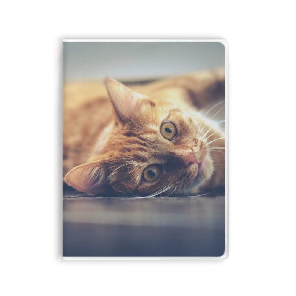 Carnet de notes chat jaune couverture souple, idée cadeau idéale pour amateurs de chats