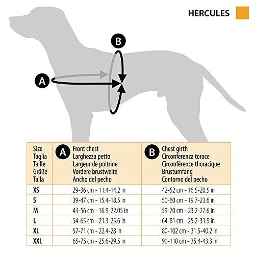 Harnais chiens Hercules Ferplast anti-traction ergonomique