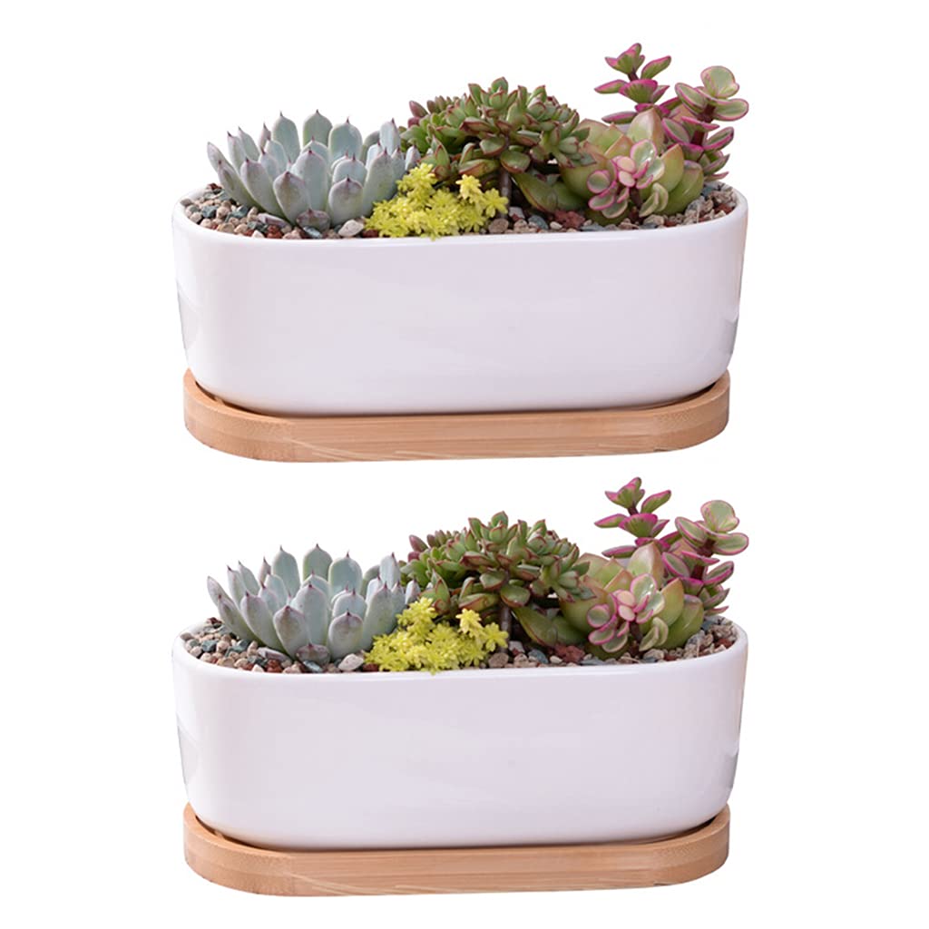 Pot de fleurs en céramique pour plante verte d'intérieur avec soucoupe et drainage