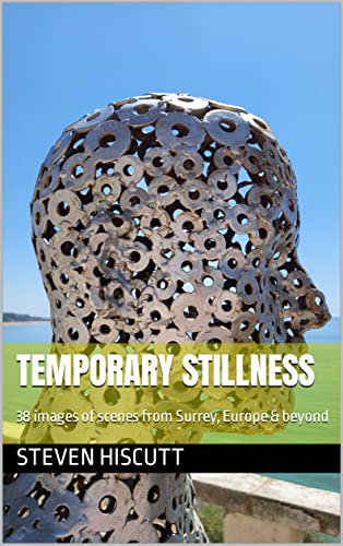 Temporary Stillness livre en anglais accessible pour progresser sans dictionnaire - 2