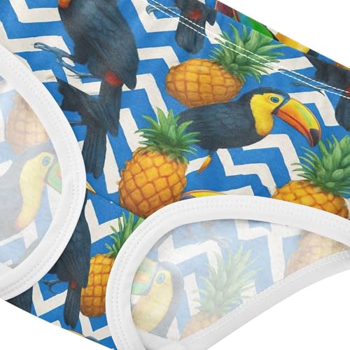 Joisal Cotton Toddlers Underwear Floral Toucans Pineapples Blue White Zigzag Panties for Girl Designer Kids Undies Briefs 2t4