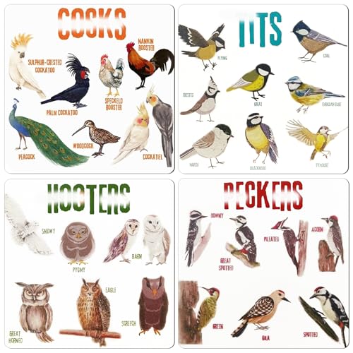 Bird Pun Coasters, Square Funny Coaster Set Coffee Coasters for Bird Lovers Kitchen Decor Housewarming Gifts (4 Pcs)