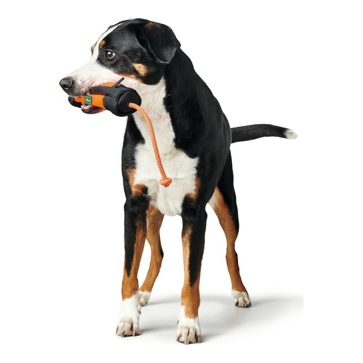 HUNTER Trainer Snack Dummy con corda di lancio, 37 cm, arancione/nero