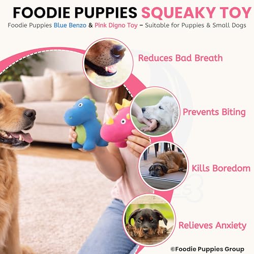 Image of Foodie Puppies Dog Squeaky Chew Latex Rubber Toy Combo (Pink Dino + Blue Benzo) for Small Dogs & Puppies | Durable, Soft Animal Design | Fetch & Chew Safe Play Toys